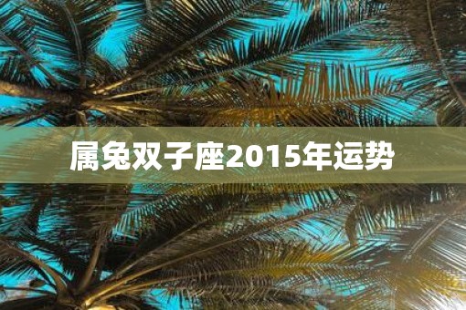 属兔双子座2015年运势
