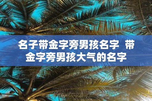 名子带金字旁男孩名字  带金字旁男孩大气的名字