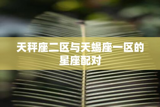 天秤座二区与天蝎座一区的星座配对