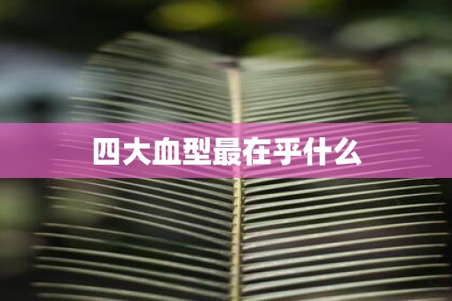 四大血型最在乎什么