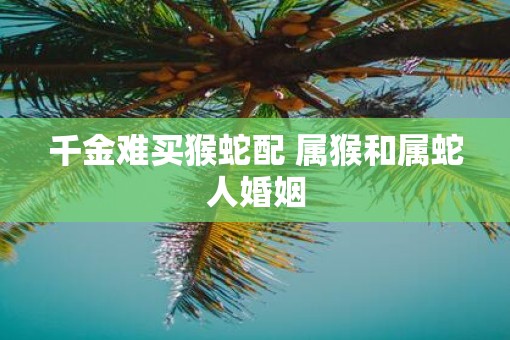 千金难买猴蛇配 属猴和属蛇人婚姻