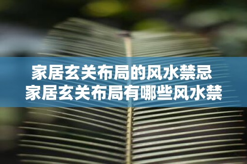 家居玄关布局的风水禁忌 家居玄关布局有哪些风水禁忌