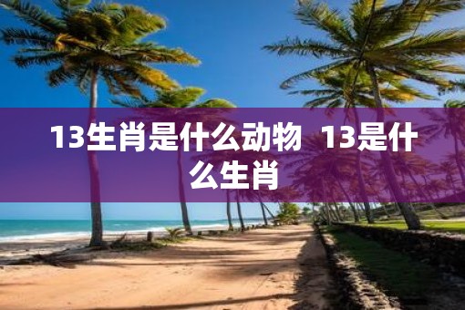 13生肖是什么动物  13是什么生肖