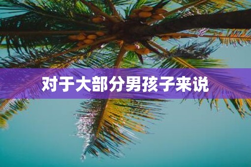 对于大部分男孩子来说