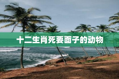 十二生肖死要面子的动物