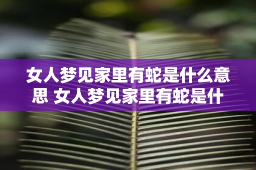 女人梦见家里有蛇是什么意思 女人梦见家里有蛇是什么含义 女人梦见家里有蛇是什么意思 女人梦见家里有蛇是什么含义