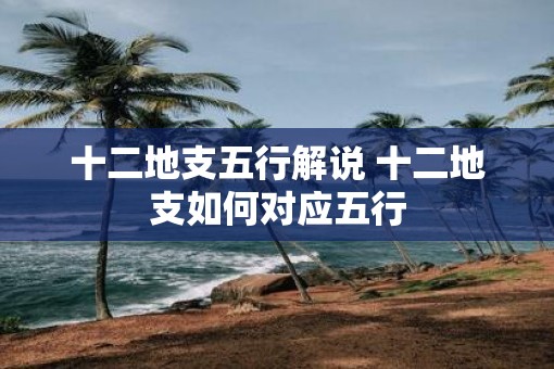 十二地支五行解说 十二地支如何对应五行