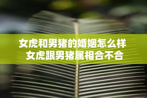 女虎和男猪的婚姻怎么样  女虎跟男猪属相合不合