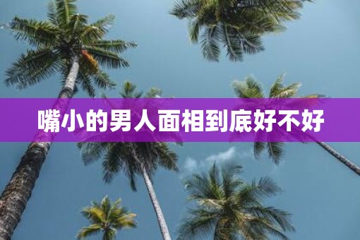 嘴小的男人面相到底好不好