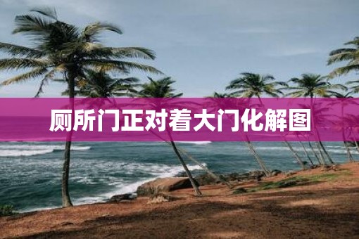 厕所门正对着大门化解图