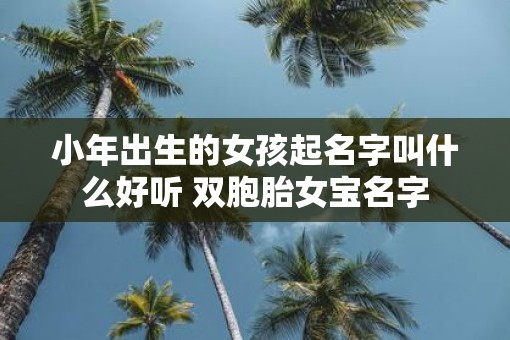 小年出生的女孩起名字叫什么好听 双胞胎女宝名字