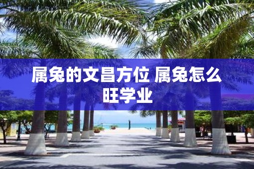 属兔的文昌方位 属兔怎么旺学业