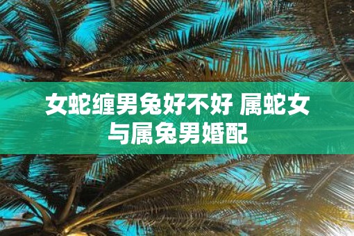 女蛇缠男兔好不好 属蛇女与属兔男婚配