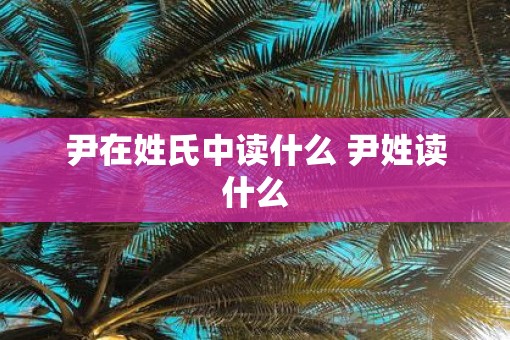尹在姓氏中读什么 尹姓读什么