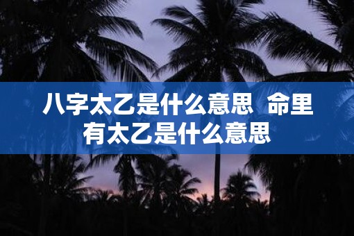 八字太乙是什么意思  命里有太乙是什么意思