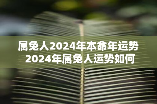 属兔人2025年本命年运势 2025年属兔人运势如何