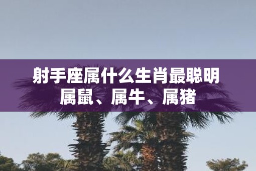 射手座属什么生肖最聪明 属鼠、属牛、属猪