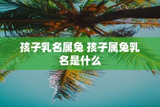孩子乳名属兔 孩子属兔乳名是什么