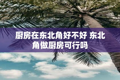 厨房在东北角好不好 东北角做厨房可行吗