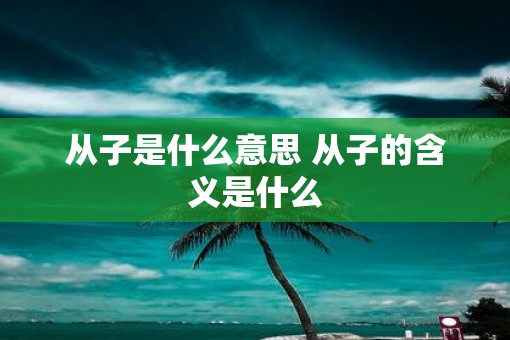 从子是什么意思 从子的含义是什么