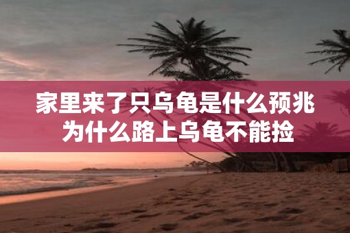 家里来了只乌龟是什么预兆 为什么路上乌龟不能捡