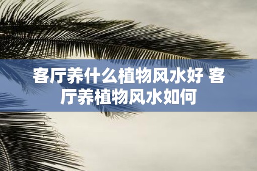 客厅养什么植物风水好 客厅养植物风水如何 客厅养什么植物风水好 客厅养植物风水如何