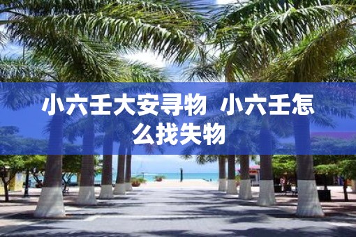 小六壬大安寻物  小六壬怎么找失物