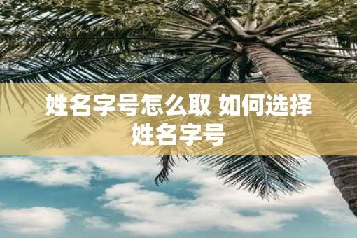 姓名字号怎么取 如何选择姓名字号