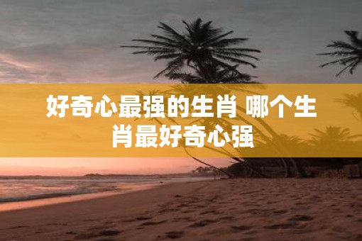 好奇心最强的生肖 哪个生肖最好奇心强