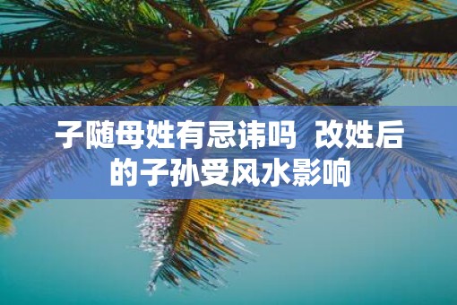 子随母姓有忌讳吗  改姓后的子孙受风水影响