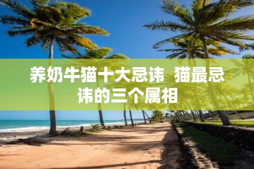养奶牛猫十大忌讳  猫最忌讳的三个属相