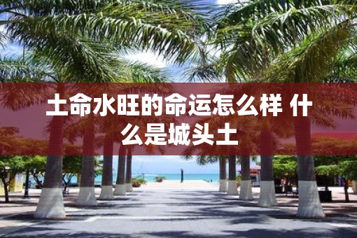 土命水旺的命运怎么样 什么是城头土