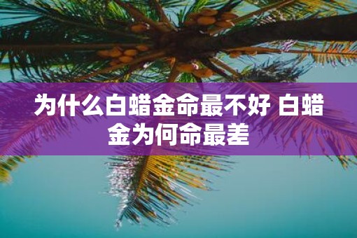 为什么白蜡金命最不好 白蜡金为何命最差