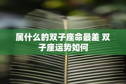 属什么的双子座命最差 双子座运势如何
