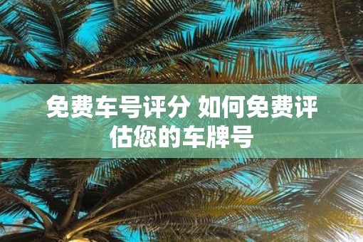 免费车号评分 如何免费评估您的车牌号