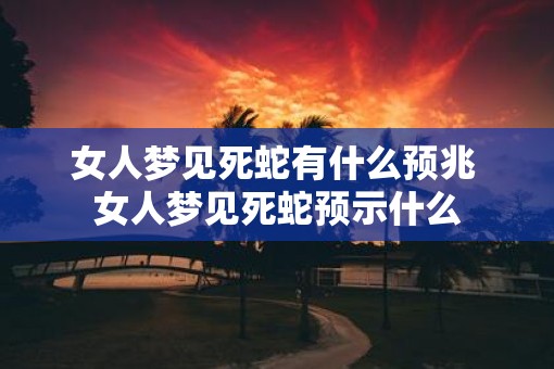 女人梦见死蛇有什么预兆 女人梦见死蛇预示什么
