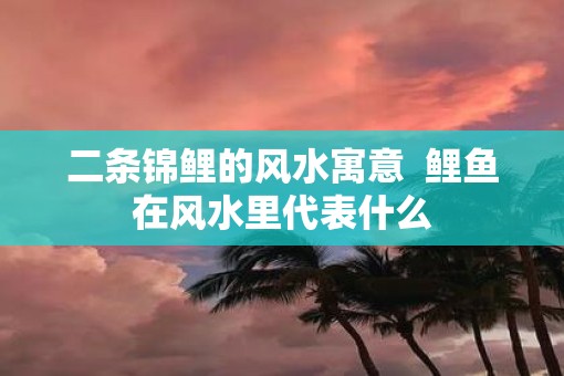二条锦鲤的风水寓意  鲤鱼在风水里代表什么
