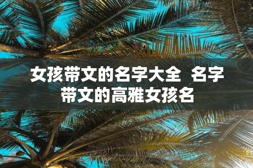 女孩带文的名字大全  名字带文的高雅女孩名