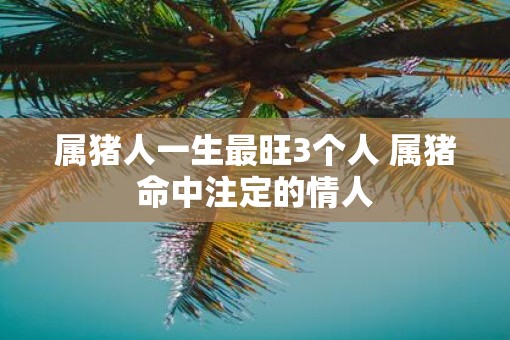 属猪人一生最旺3个人 属猪命中注定的情人 属猪人一生最旺3个人 属猪命中注定的情人