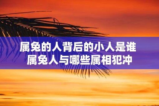 属兔的人背后的小人是谁 属兔人与哪些属相犯冲