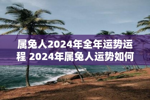属兔人2025年全年运势运程 2025年属兔人运势如何