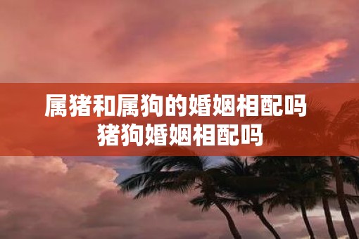 属猪和属狗的婚姻相配吗 猪狗婚姻相配吗