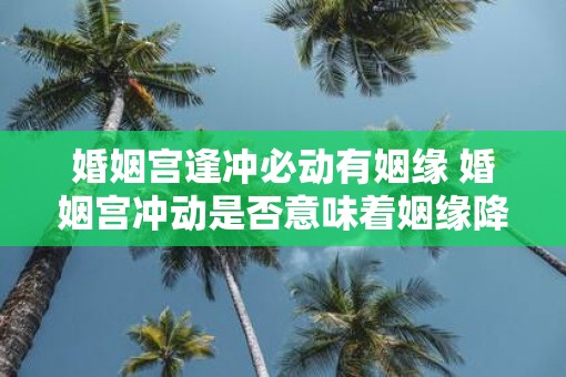 婚姻宫逢冲必动有姻缘 婚姻宫冲动是否意味着姻缘降临