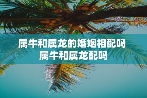 属牛和属龙的婚姻相配吗 属牛和属龙配吗