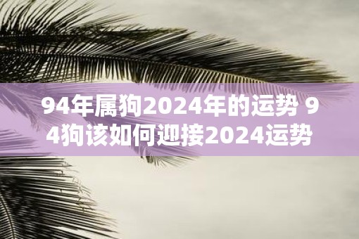 94年属狗2025年的运势 94狗该如何迎接2025运势