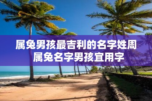 属兔男孩最吉利的名字姓周  属兔名字男孩宜用字