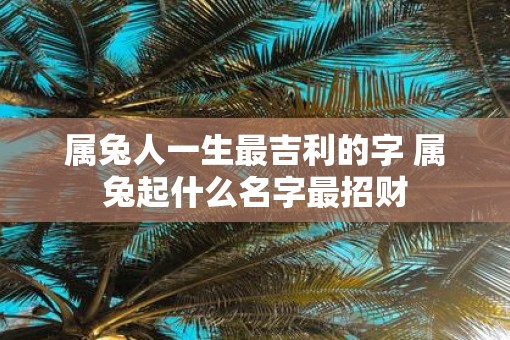 属兔人一生最吉利的字 属兔起什么名字最招财