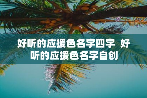好听的应援色名字四字  好听的应援色名字自创