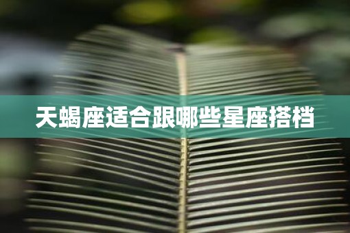 天蝎座适合跟哪些星座搭档