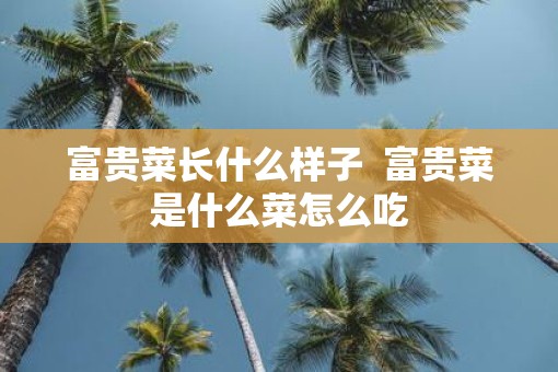 富贵菜长什么样子  富贵菜是什么菜怎么吃